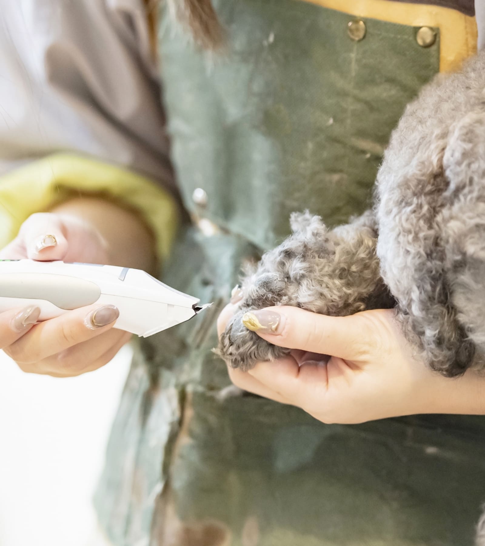わんちゃんがリラックスできる空間づくり