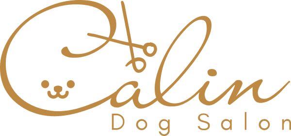 Dog Salon Calin(ドッグサロン カラン)|酒田市船場町にあるトリミングサロン
