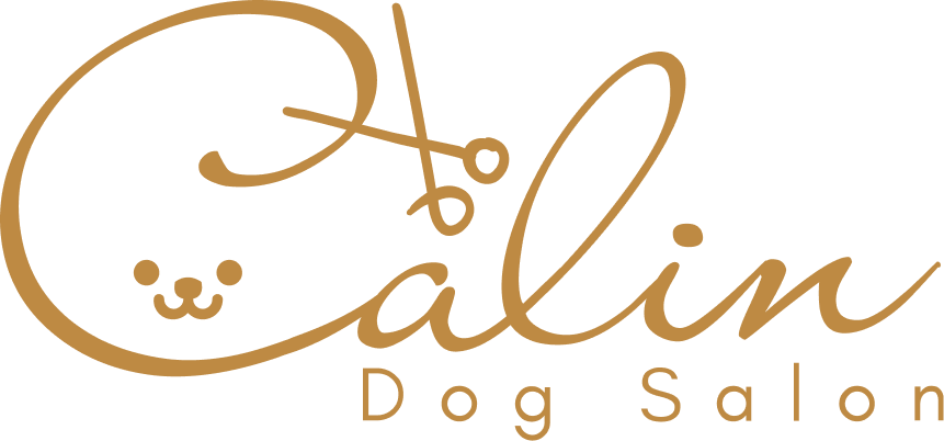 Dog Salon Calin