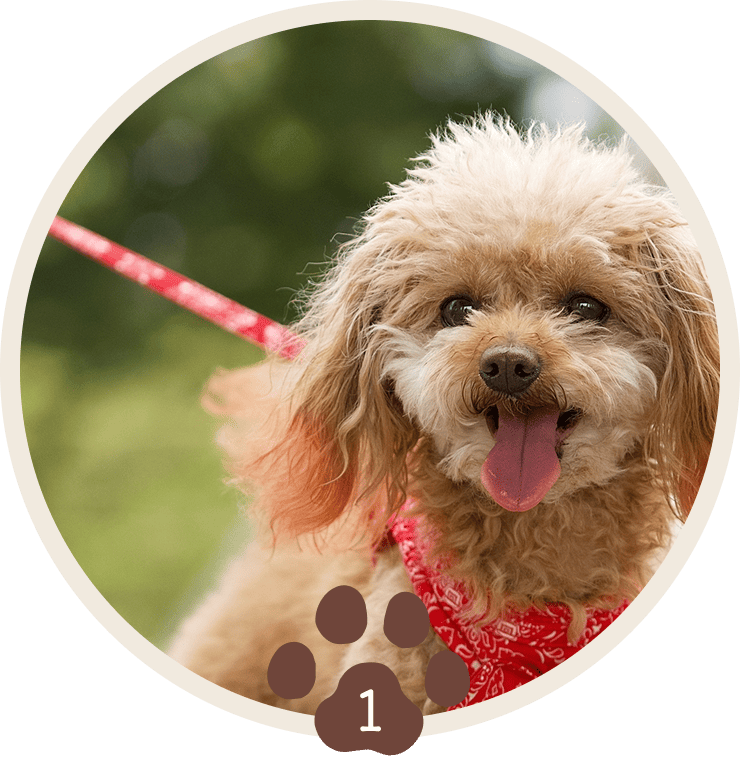 ⻑年の経験と確かな実績