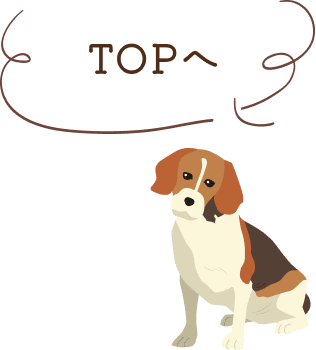 TOPへ